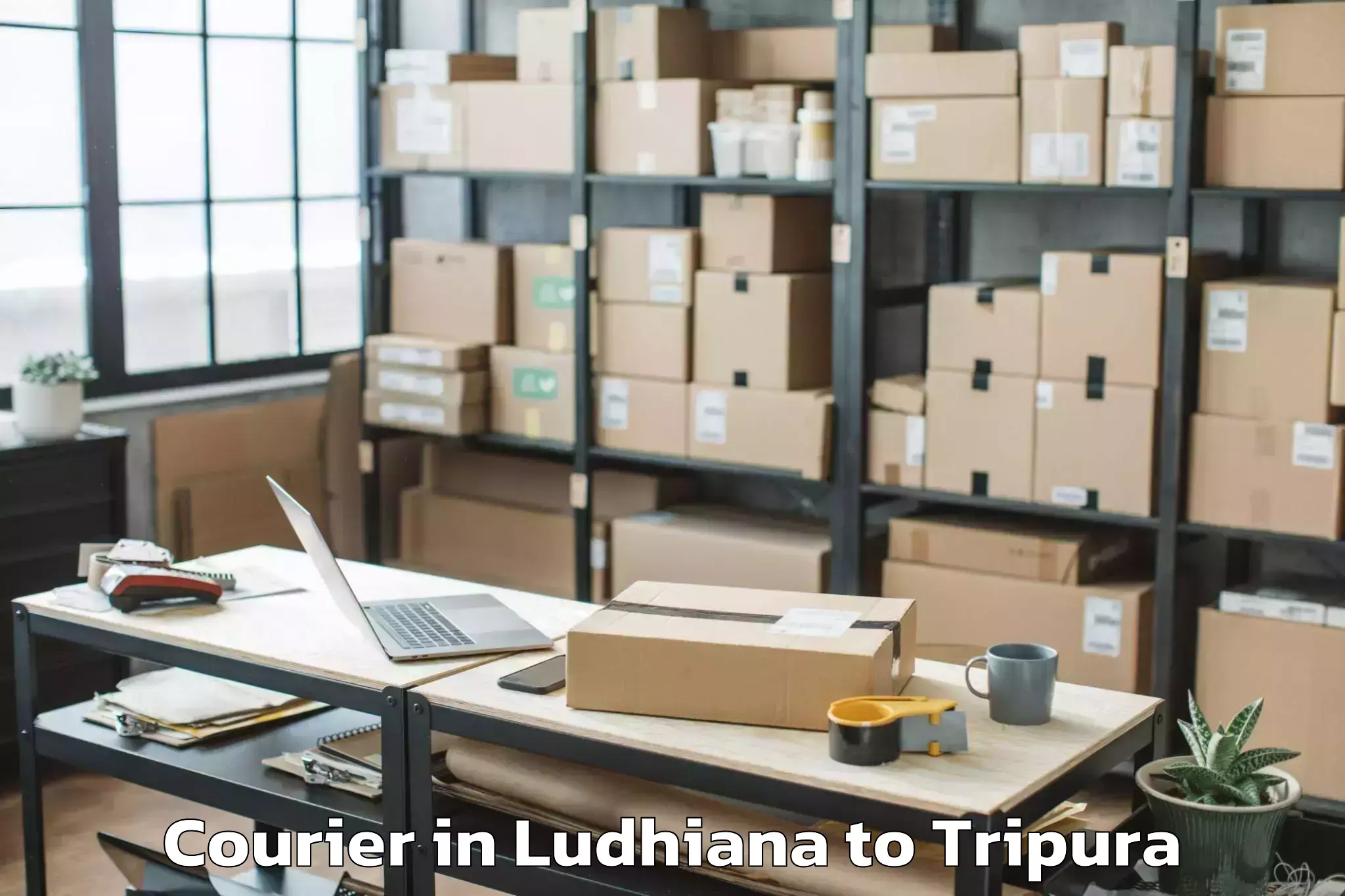 Get Ludhiana to Khowai Courier